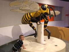 -陕西自然博物馆