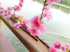-常德桃花源景区