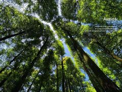 -山王坪喀斯特国家生态公园
