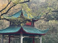 -岳麓山风景名胜区