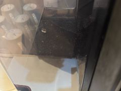 -厦门海景千禧大酒店·海景咖啡厅