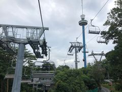 -圣淘沙天际线斜坡滑车