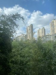 点击看大图 -馨月汇·一悦馨香月子中心(前滩店)