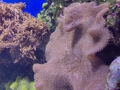 -珠海长隆海洋王国