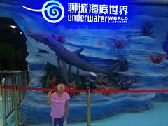 -聊城海底世界