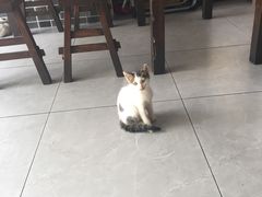 -云中菜馆(恒晟·云中绿园店)