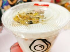 -油梨树 AVOCADO TREE(亮马桥店)