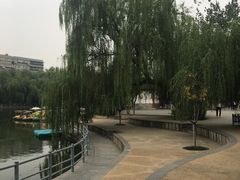 -莲湖公园