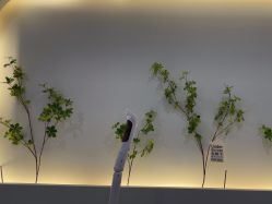 点击看大图 -VE专注问题肌·赛诺龙&科学美肤中心