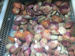 -港畔赶海蒸汽海鲜烧烤自助(仙螺岛店)