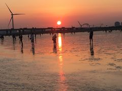 -南汇新城海滩