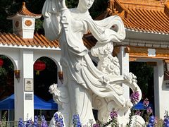-深圳仙湖植物园