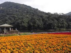 -广州市石门国家森林公园