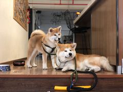 -YCHL Studios健身工作室(市二宫店)