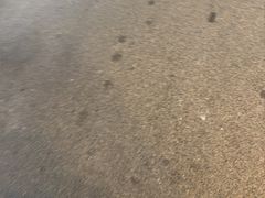 -大厨的餐厅(曾厝垵总店)