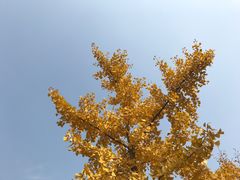 -淮海战役纪念馆