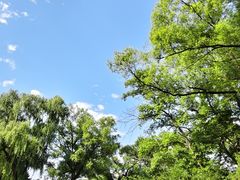 -北陵公园