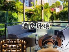 -深圳温德姆至尊酒店·大堂吧·户外花园