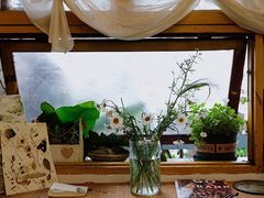 -知物癖(牛王庙店)