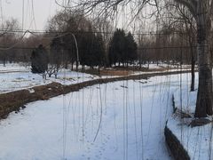 -北坞公园