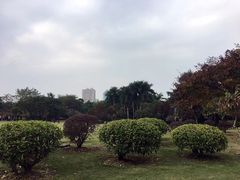 -南宁南湖公园
