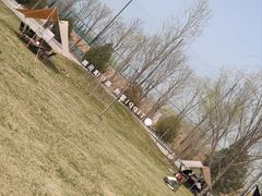 -TIPPI营地 房车主题·露营烧烤团建轰趴(天安假日店)