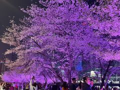 -西北湖绿化广场