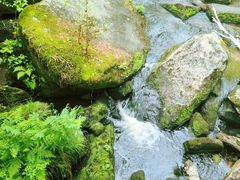-汤旺河林海奇石景区