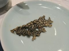 -阿斯牛牛·凉山菜(新会展店)
