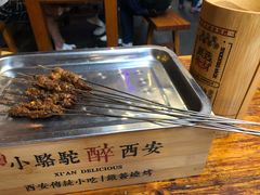 -福苗小骆驼烧烤(莲湖路店)