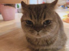 -万小咖.猫咖(中山路天虹店)