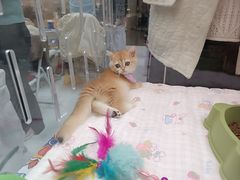 -万达广场(北京槐房店)