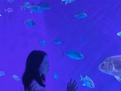 -哈尔滨波塞冬海底世界