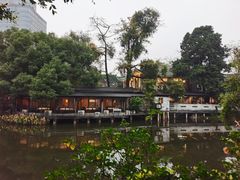-荔湾湖公园