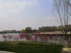 -东郊湿地公园