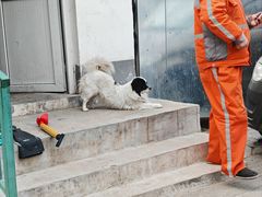 -老舍旧居