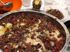 招牌水煮三峡鱼-雲蜀龙阁·金牌水煮鱼(方庄店)