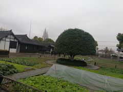 -张闻天故居