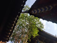-关岳庙