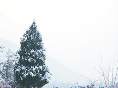 -少华山国家森林公园