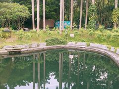 -凤岗南门山森林公园