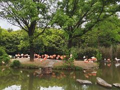-上海野生动物园
