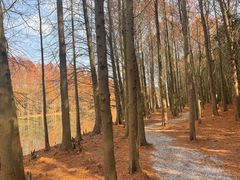 -上海海湾国家森林公园