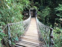 -天门沟九州驿站树上汤泉