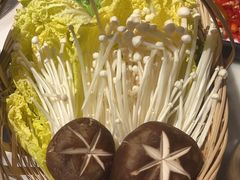 -同仁四季椰子鸡(福田东园总店)