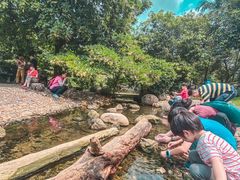 -华南国家植物园-售票处