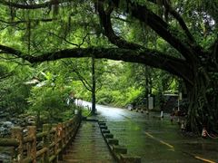 -广州市石门国家森林公园