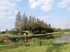 -上海长兴岛郊野公园