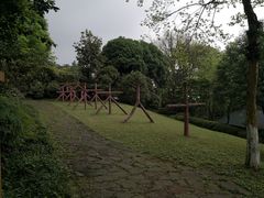 -南山植物园