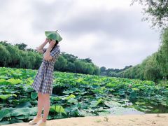 -日照海滨国家森林公园